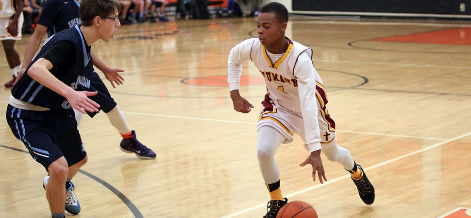 St. John Neumann Alumni by Sport